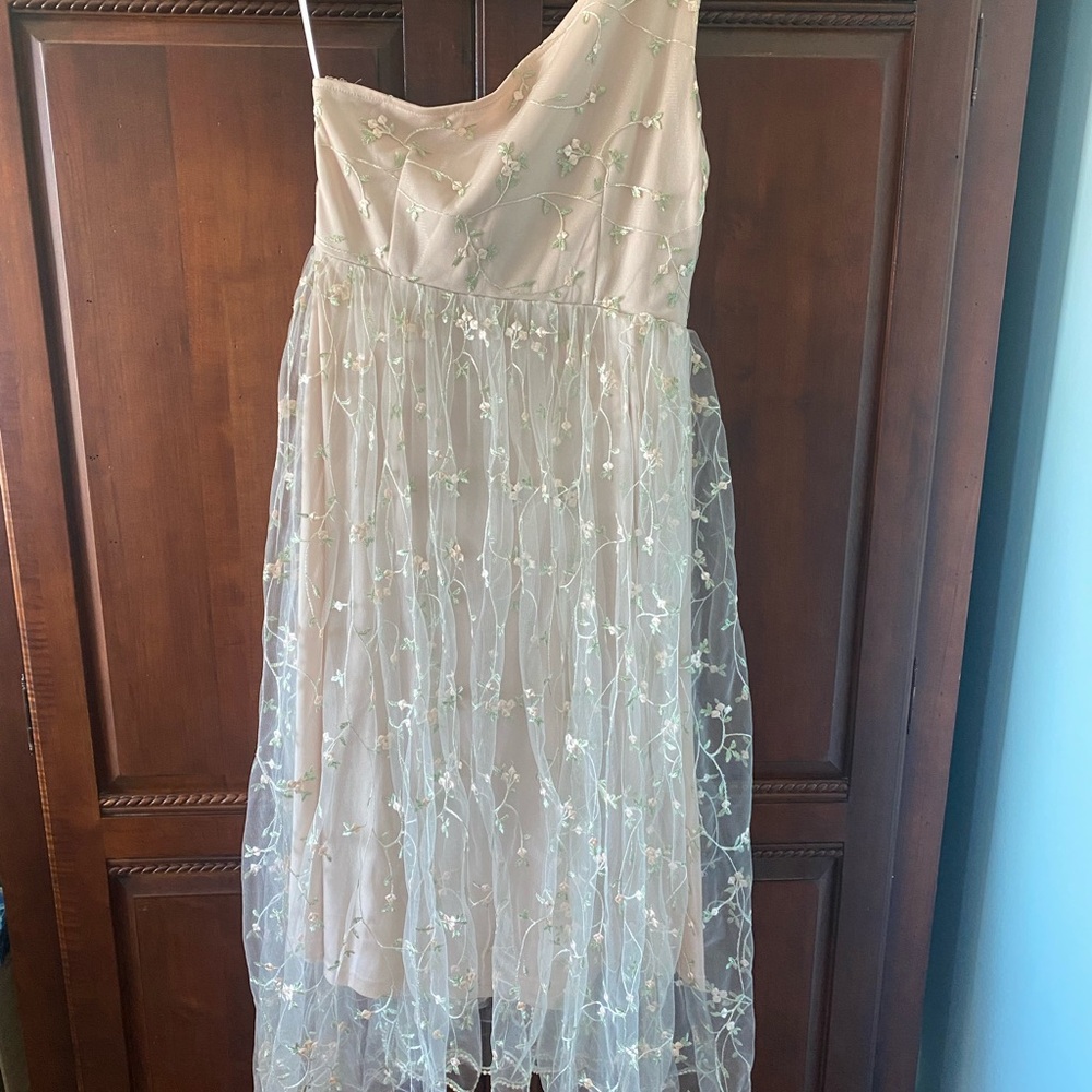Elegant Nude Floral Lace Dress